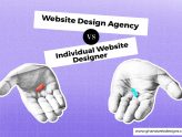 Individual Website Designer or Professional Website Design Agency