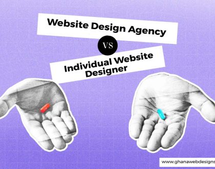 Individual Website Designer or Professional Website Design Agency